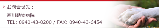 ⍇F쓮a@@TEL. 0940-43-0200 FAX.0940-43-6454